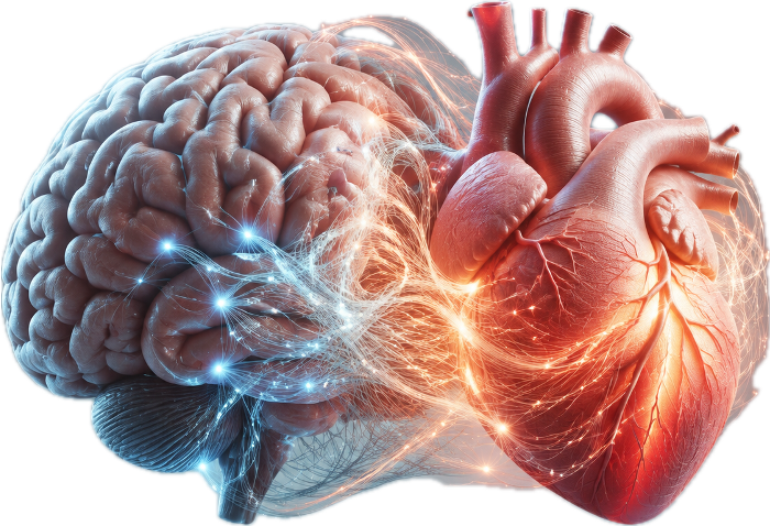 Emotionele Intelligentie (Daniel Goleman)